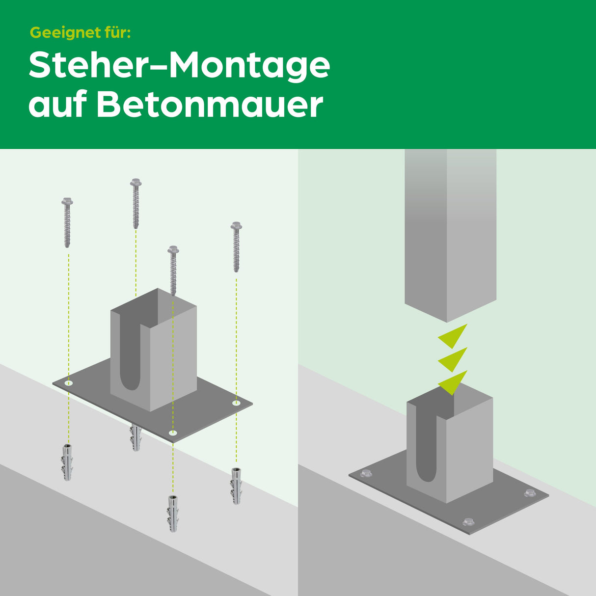 Dübelplatte für Steher 60/40 mm / verstärkt / H: 30 cm